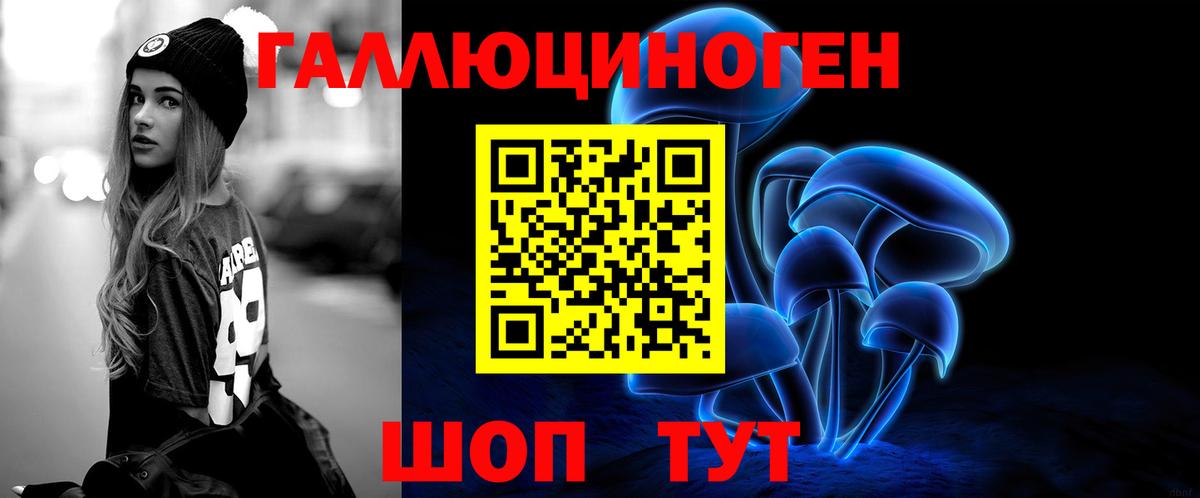 где купить наркоту  Галлюциногенные грибы Psilocybe  Кашира  Вход с VPN  Галлюциногенные грибы GOLDEN TEACHER 
