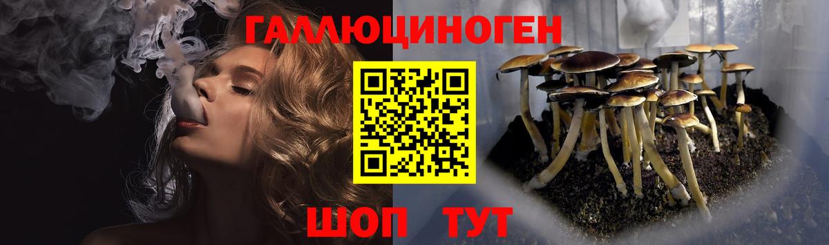 Галлюциногенные грибы Cubensis Кашира